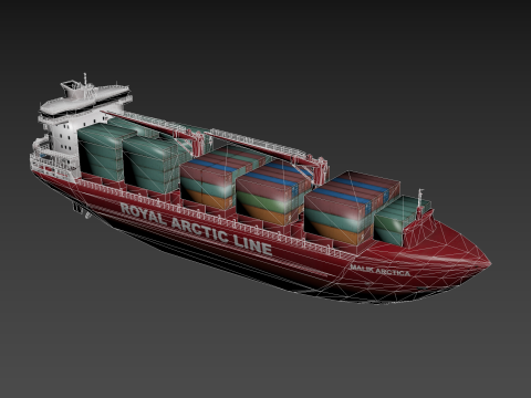 Container Ship Mary Arctica 3D Модель