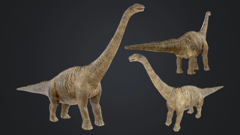 Brontosaure Modèle 3D .c4d .max .obj .3ds .fbx .stl .blend 