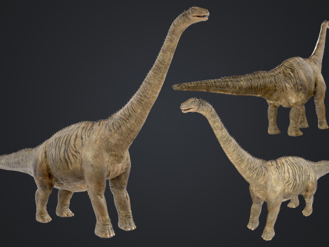 Brontosaurus Modèle 3D