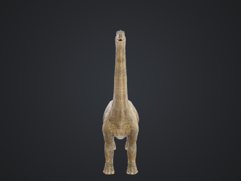 Brontosaurus 3D मॉडल