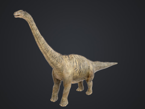 Brontosaurus 3D मॉडल