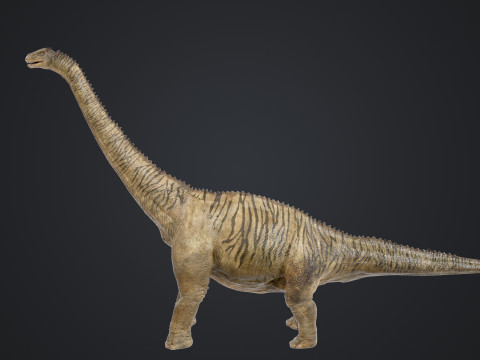 Brontosaurus 3D मॉडल