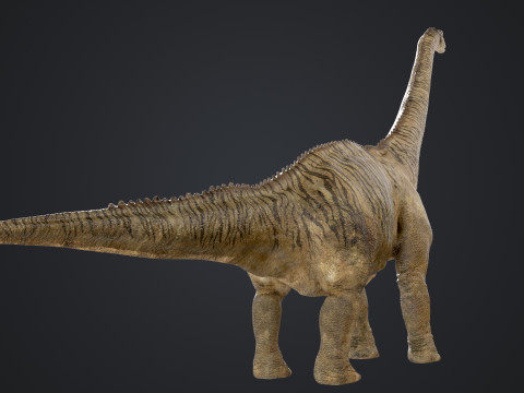Brontosaurus 3D मॉडल