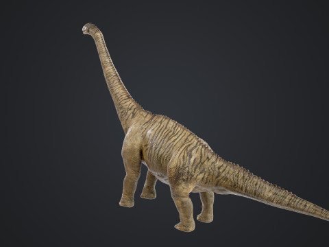 Brontosaurus 3D मॉडल