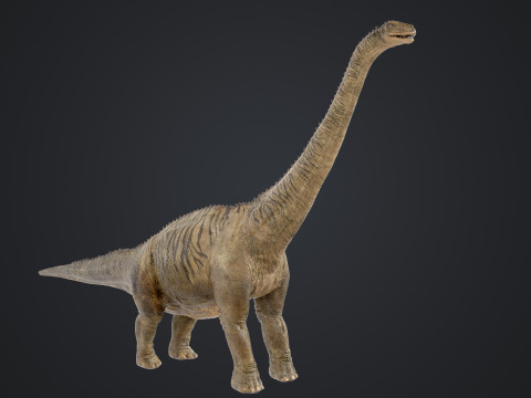 Brontosaurus 3D मॉडल