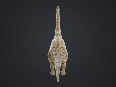 Brontosaurus 3D मॉडल