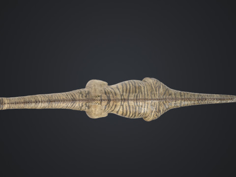 Brontosaurus 3D मॉडल