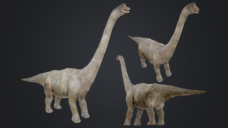 Brachiosaurus Modello 3D .c4d .max .obj .3ds .fbx .stl .blend 
