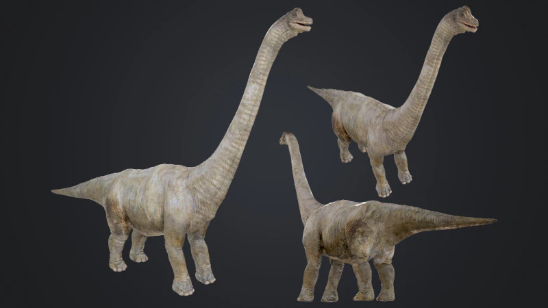 Brachiosaure Modèle 3D .c4d .max .obj .3ds .fbx .stl .blend 