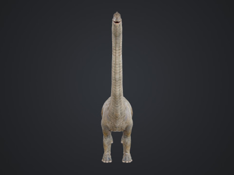 Brachiosaurus Modello 3D
