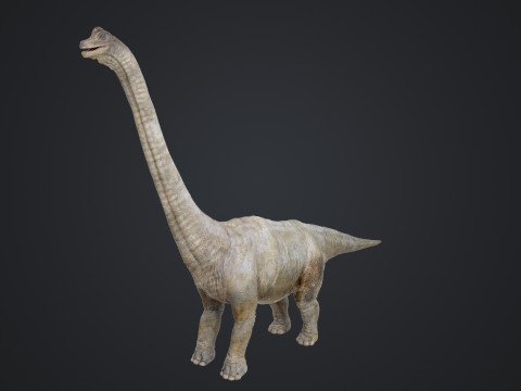 Brachiosaurus Modello 3D