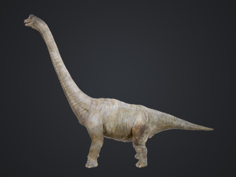 Brachiosaurus Modello 3D