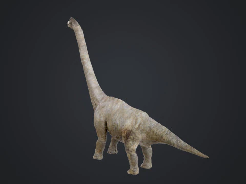 Brachiosaure Modèle 3D