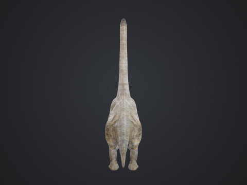 Brachiosaurus Modello 3D