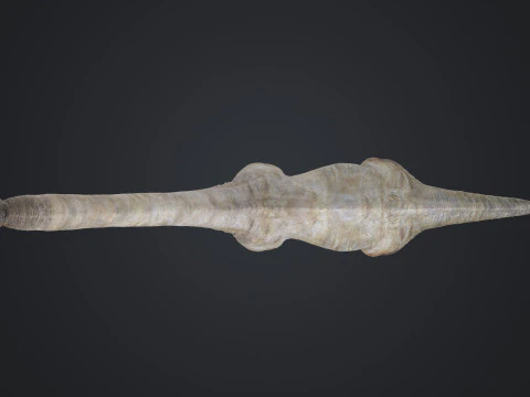 Brachiosaure Modèle 3D