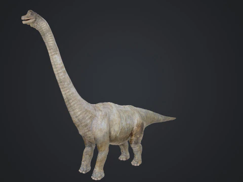Brachiosaure Modèle 3D