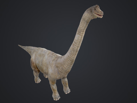 Brachiosaurus Modello 3D