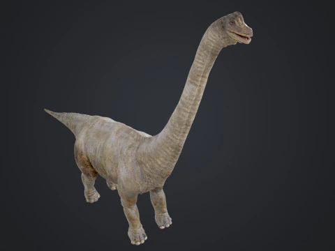 Brachiosaure Modèle 3D