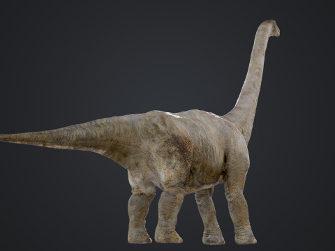 Brachiosaurus Modello 3D