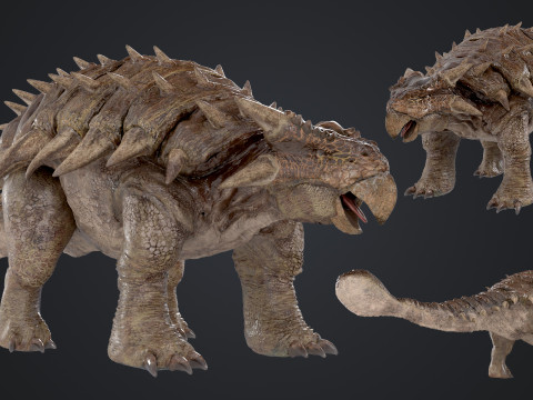 Ankylosaurus 3D Модель
