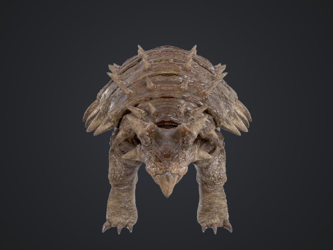 Ankylosaurus 3D Modell