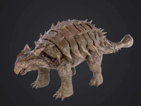 Anchilosauro Modello 3D