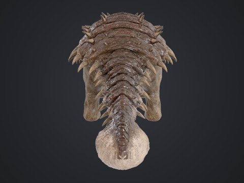 Ankylosaurus 3D Modell