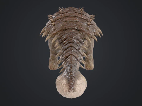 Anchilosauro Modello 3D