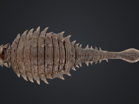 Ankylosaurus 3D Modell