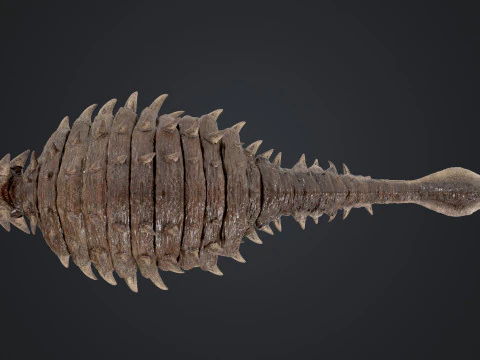 Anchilosauro Modello 3D