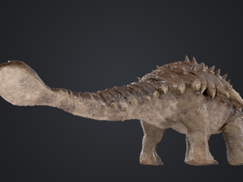 Ankylosaurus 3D Modell