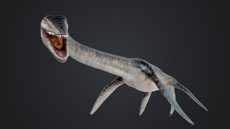 Elasmosaurus Model 3D .c4d .max .obj .3ds .fbx .stl .blend