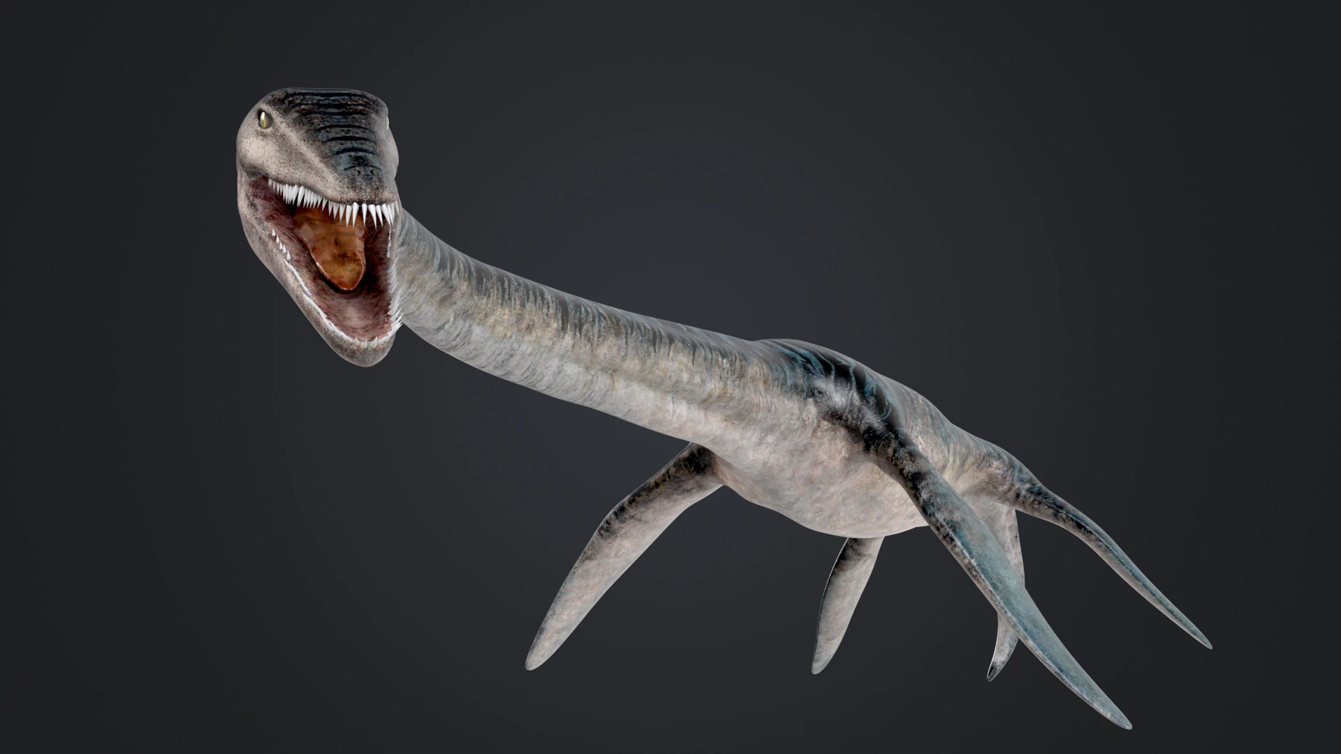 Elasmossauro Modelo 3D .c4d .max .obj .3ds .fbx .stl .blend 