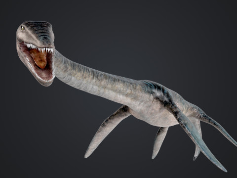 Elasmosaurus 3D Модель
