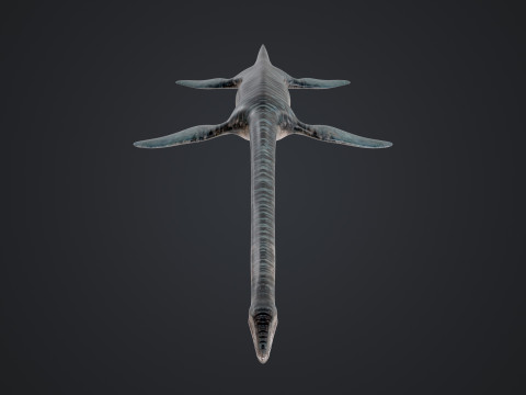 Elasmosaurus Model 3D