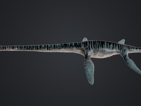 Elasmosaurus Model 3D