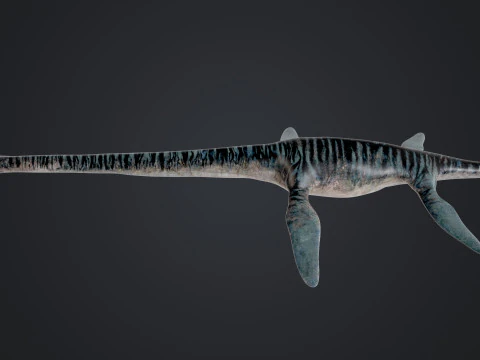 Elasmossauro Modelo 3D