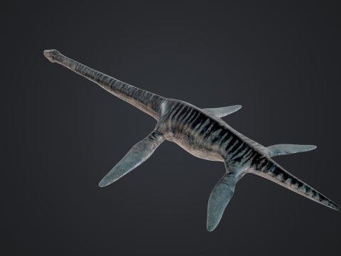 Elasmosaurus Model 3D