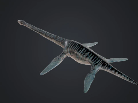Elasmossauro Modelo 3D