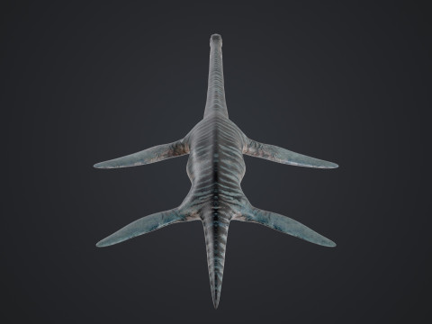 Elasmosaurus Model 3D