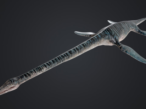 Elasmosaurus Model 3D