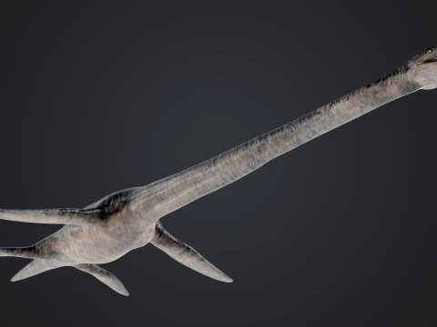Elasmossauro Modelo 3D