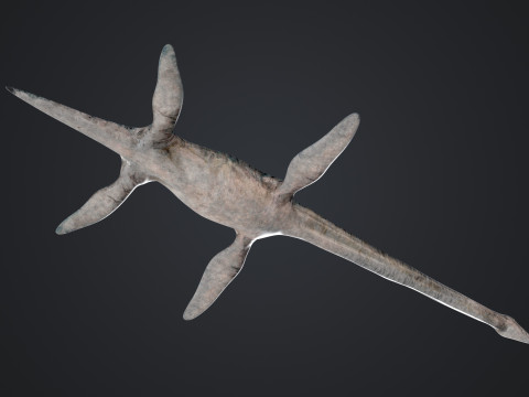 Elasmosaurus Model 3D