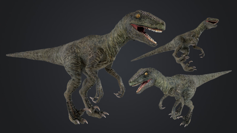 burung pemangsa Model 3D .c4d .max .obj .3ds .fbx .stl .blend 