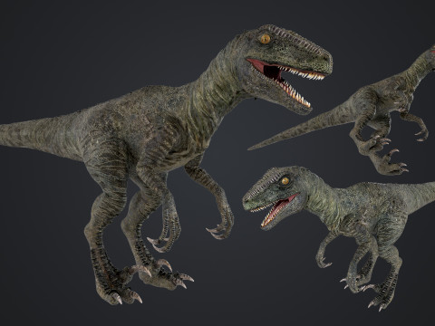 Raptor 3D Модель