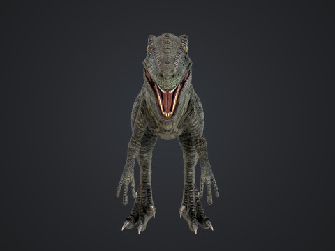 burung pemangsa Model 3D