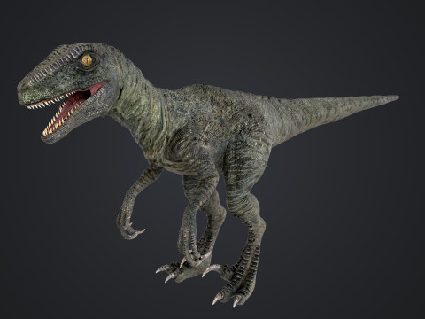 burung pemangsa Model 3D