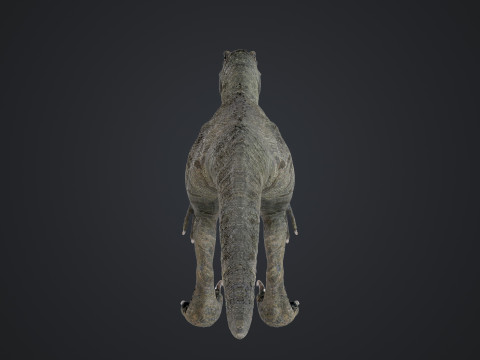 burung pemangsa Model 3D