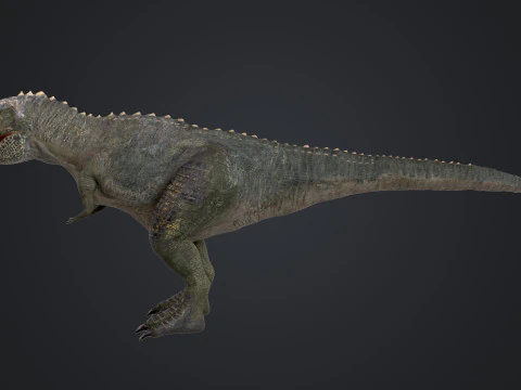 Giganotosaurus 3D Model