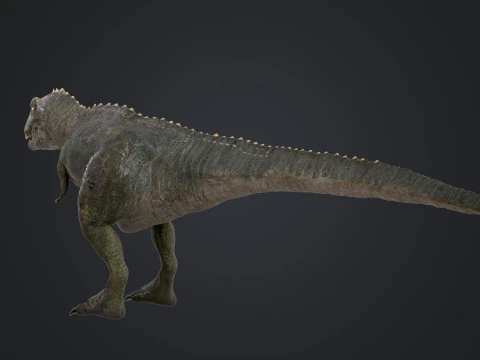 Giganotosaurus 3D Model